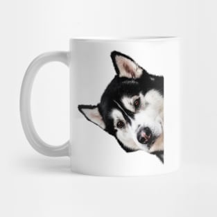 Malamute Peekaboo Mug